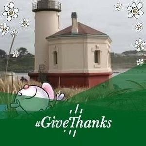 Meet your Posher, Darla